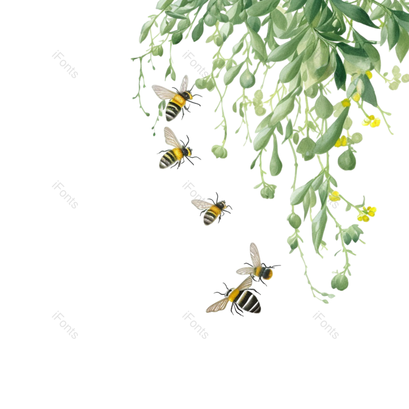 元素图片,蜜蜂元素,插画PNG,绿叶免抠素材